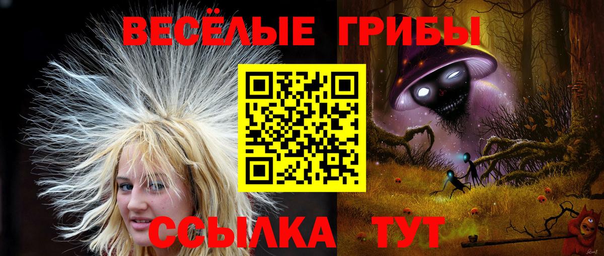 Галлюциногенные грибы MAGIC MUSHROOMS  купить наркотики цена  Чистополь  Вход с VPN 
